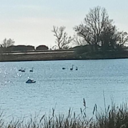 Aigues Mortes Studio De Vacances En Camargue Zewnętrze zdjęcie