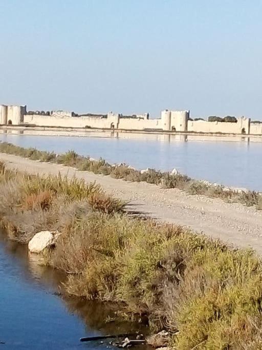 Aigues Mortes Studio De Vacances En Camargue Zewnętrze zdjęcie