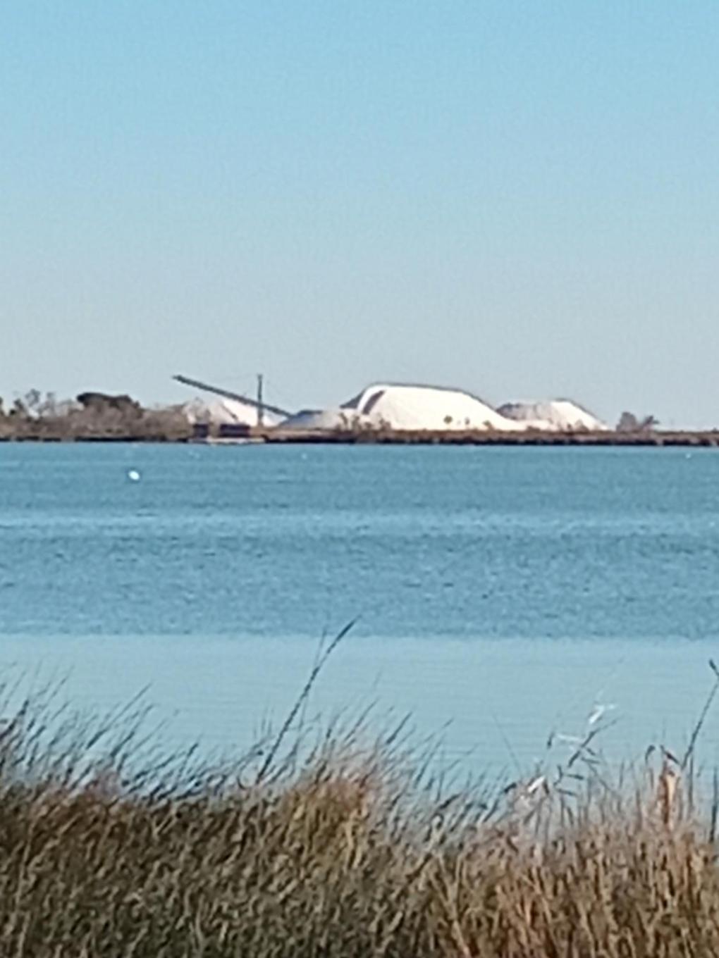 Aigues Mortes Studio De Vacances En Camargue Zewnętrze zdjęcie
