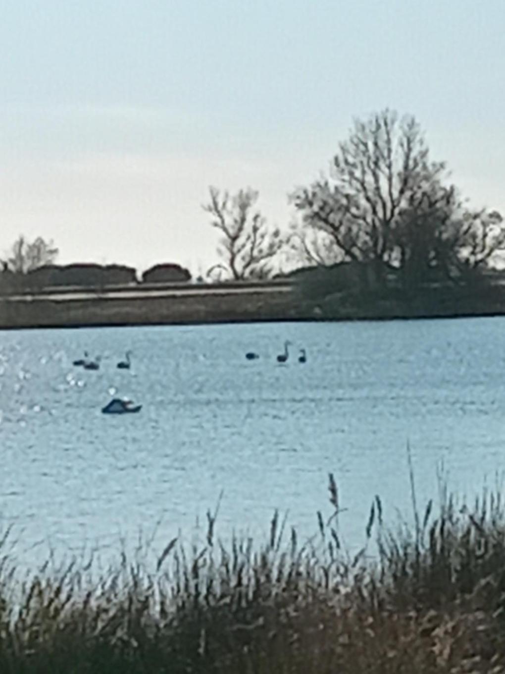 Aigues Mortes Studio De Vacances En Camargue Zewnętrze zdjęcie